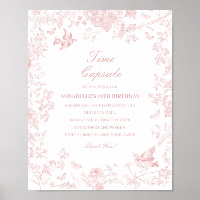 Rosa Toile de Jouy Time Capsule Baby Birthday Game Poster (Framsidan)
