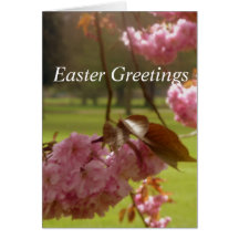 Rosa Träd Blommar Påsk Hälsning