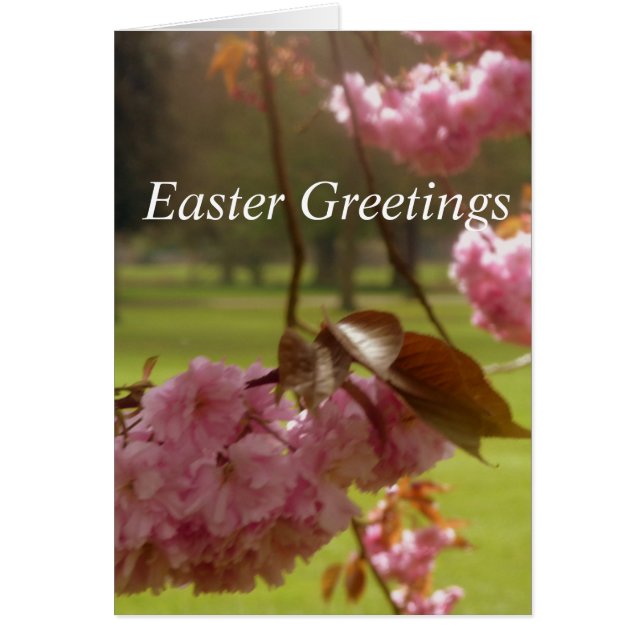 Rosa Träd Blommar Påsk Hälsning Hälsningskort (Framsidan)