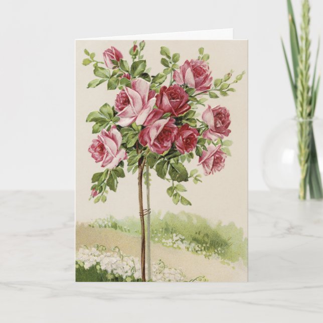 Rosa träd för grattis på födelsedagen kort (Framsida)
