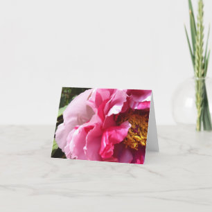 Rosa Träd Peony Notecard Kort