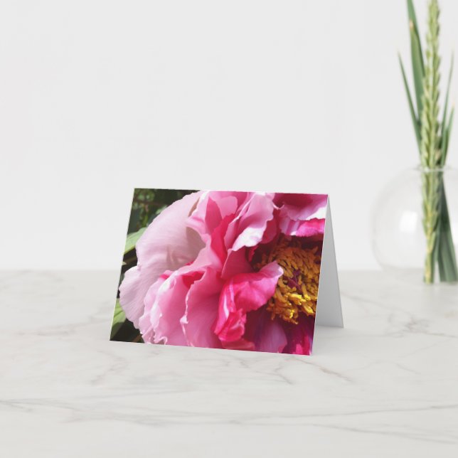 Rosa Träd Peony Notecard Kort (Framsida)
