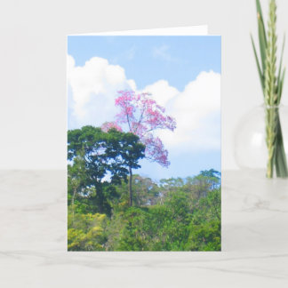 Rosa Träd Venezuela Jungle Ligge Kort