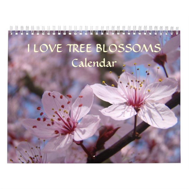 Rosa trädblomkalender Vita blommor Äpple Kalender (Omslag)