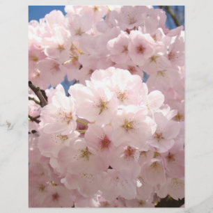 Rosa trädblommor blommor Scrapbooking papper