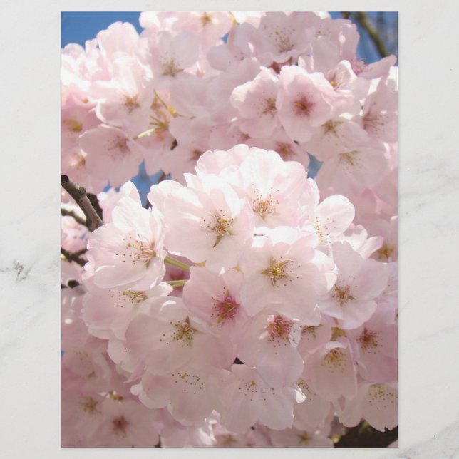 Rosa trädblommor blommor Scrapbooking papper (Framsida)