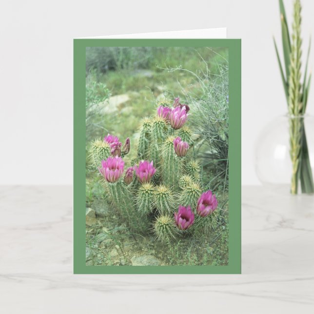 Rosa Trill Desert Cactus Hälsning eller Note Cards Kort (Framsida)