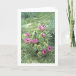 Rosa Trill Desert Cactus Hälsning eller Note Cards Kort