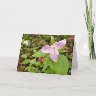 Rosa Trillium Flower Kort