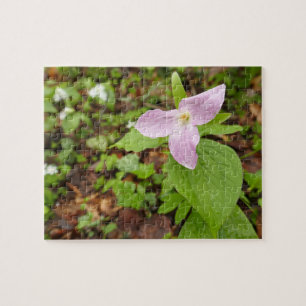 Rosa Trillium Flower Pussel