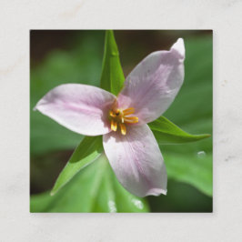 Rosa Trillium-vildblomma i skogssol Fyrkantigt Visitkort