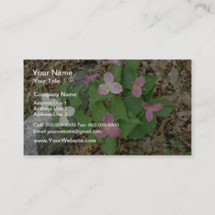 Rosa Trilliums, Quebec, Kanada. blommor Visitkort