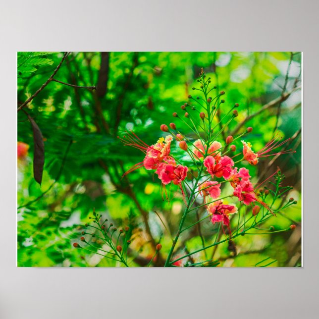 Rosa tropisk blomfotografering, Frodig grön botani Poster (Framsidan)