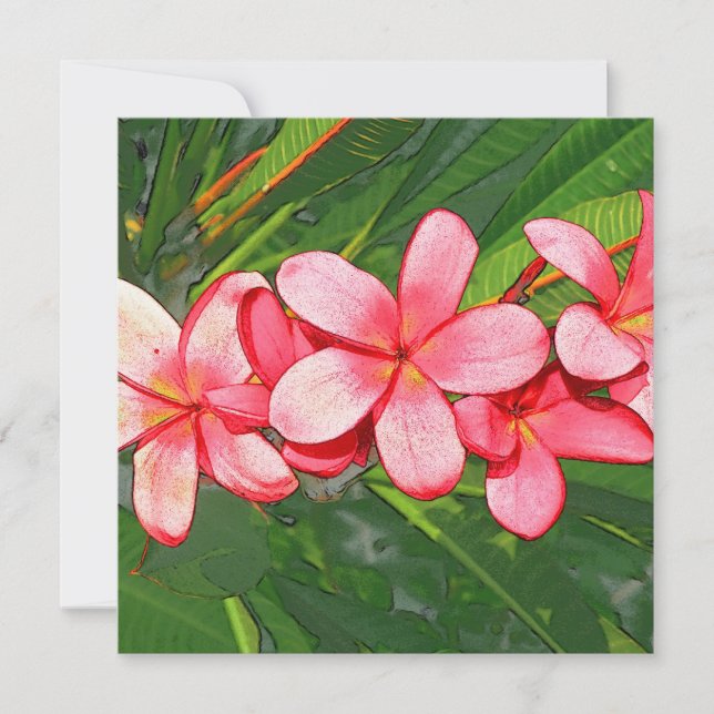 Rosa tropisk frangipani-konst kort (Framsida)