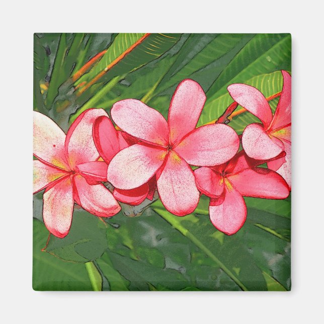Rosa tropisk frangipani-konst magnet (Framsidan)