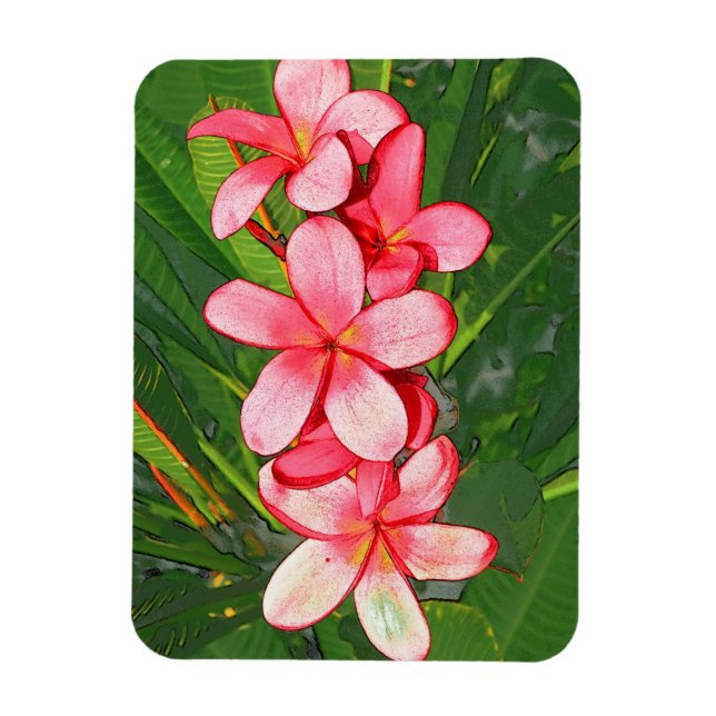 Rosa tropisk frangipani-konst magnet (Vertikal)