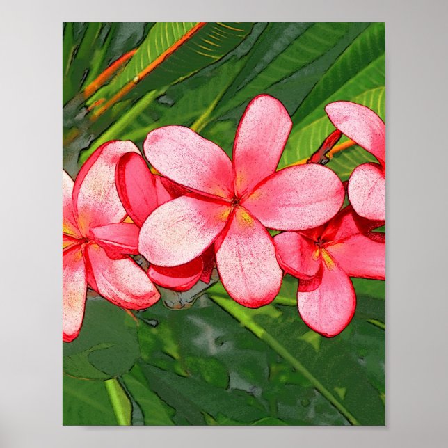 Rosa tropisk frangipani-konst poster (Framsidan)