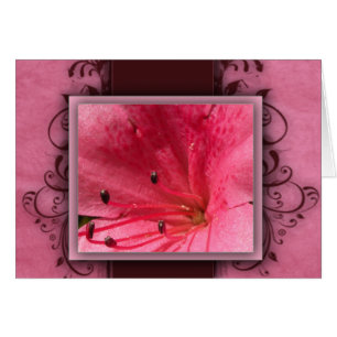 Rosa tropisk hibiskusblomma hälsningskort