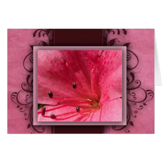 Rosa tropisk hibiskusblomma hälsningskort (Framsidan Horizontal)