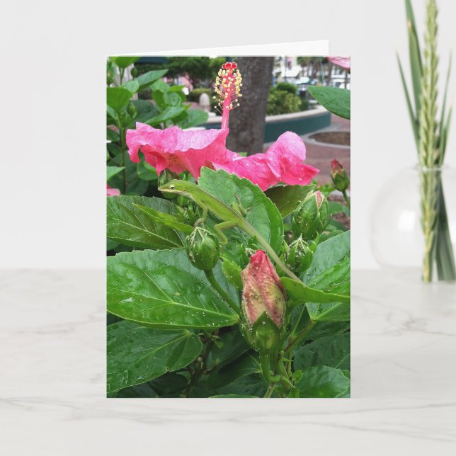 Rosa tropisk hibiskusblomma kamouflerad ödla kort (Framsida)