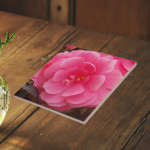 Rosa Tuberös Begonia Blomma Kakelplatta