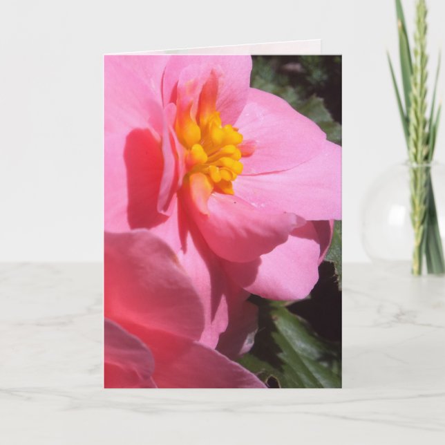 Rosa Tuberous Begonia Greeting Card Kort (Framsida)