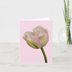 Rosa Tulip Blank eller Anpassningsbar Hälsning Tac Kort