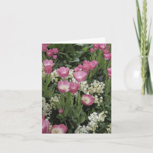 Rosa Tulip Blanka anteckningskort