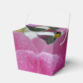 Rosa Tulip-blomman Ta ut favoritruta Presentaskar