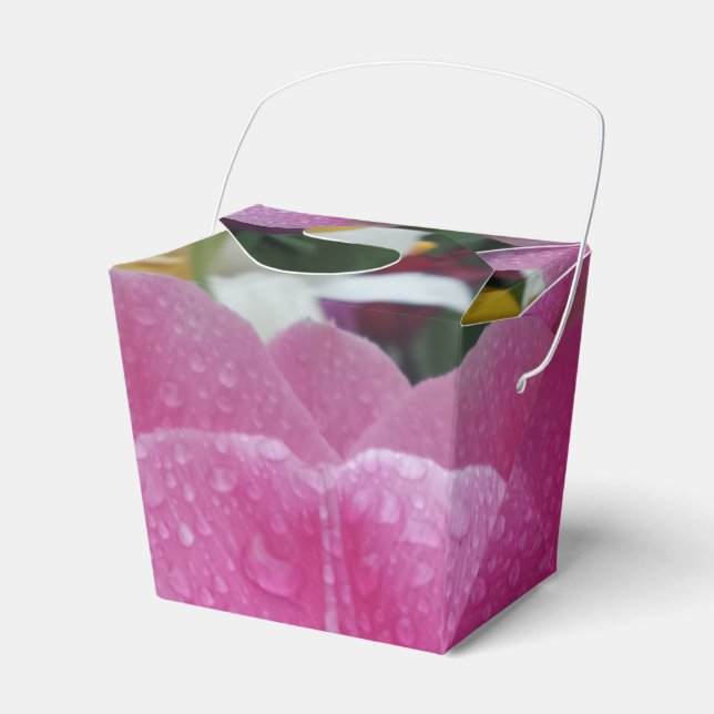 Rosa Tulip-blomman Ta ut favoritruta Presentaskar (Framsidan Sidan)