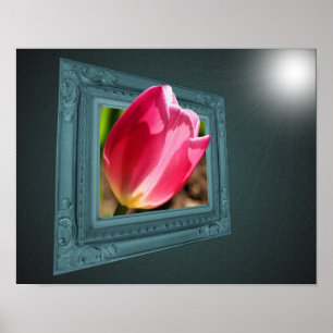 Rosa Tulip-blomman ut ur Ram Poster