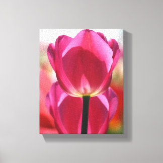 Rosa Tulip Canvas