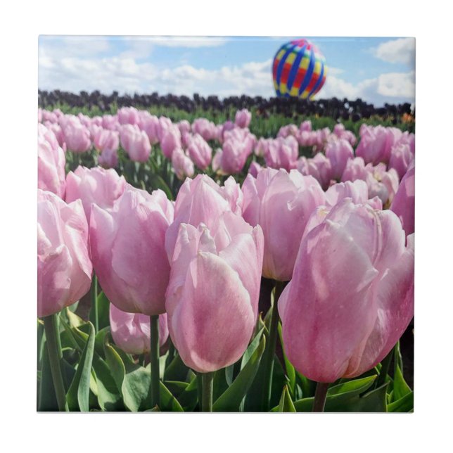 Rosa Tulip Fält med Luftballong, Oregon Kakelplatta (Framsidan)