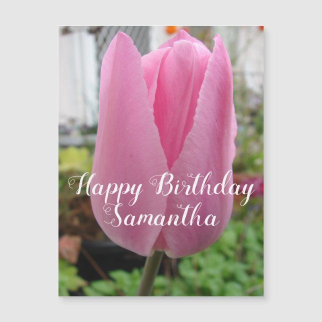 Rosa Tulip Flower Blommigt Birthday Tulips Magneti (Framsida)