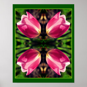 Rosa Tulip Flower in Sunlight Spegel Abstrakt Poster