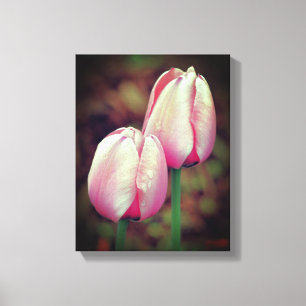 Rosa Tulip Flowers med regndroppar Canvastryck
