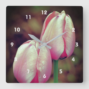 Rosa Tulip Flowers med regndroppar Fyrkantig Klocka