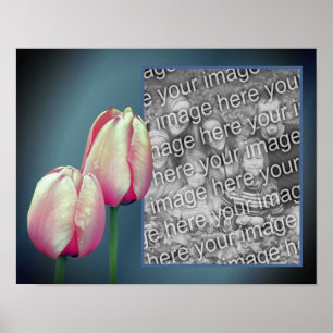 Rosa Tulip Flowers Ram Lägg till ditt foto Poster