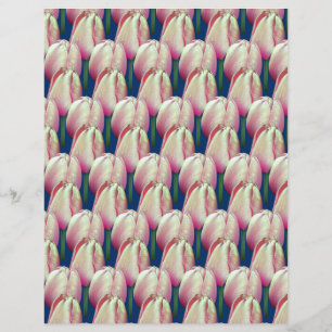 Rosa Tulip Flowers Scrapbook Papper