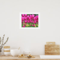Rosa Tulip Garden Blommigt Fotografisk fotografi