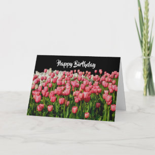 Rosa Tulip Grattis på födelsedagen Kort