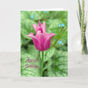 Rosa Tulip Grattis på födelsedagen Kort