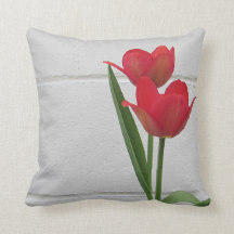 Rosa Tulip |