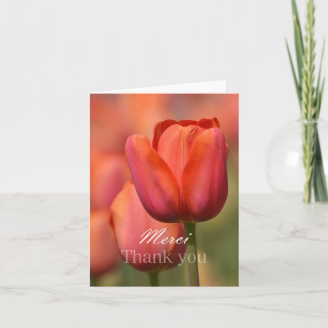 Rosa Tulip Merci Tack Notecard Kort (Framsida)