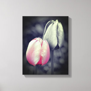 Rosa Tulip Pair Black and White Partial Färg Canvastryck