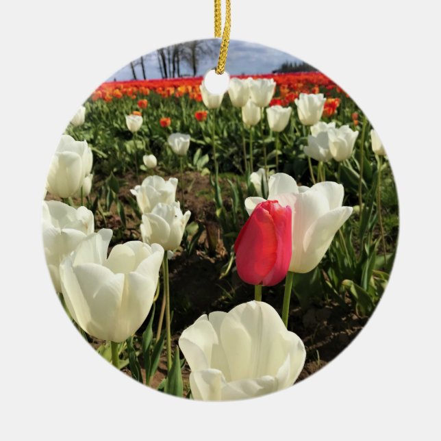 Rosa Tulip stående ut, Oregon Julgransprydnad Keramik (Framsidan)