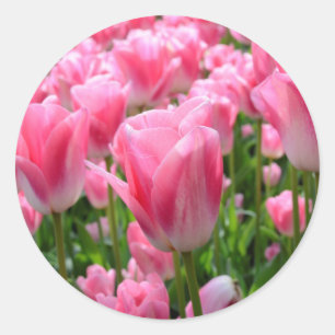 Rosa Tulip Stickers Runt Klistermärke