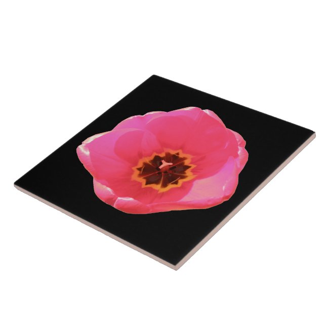 Rosa Tulip Tile Kakelplatta (Sidan)