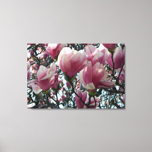 Rosa "Tulip Träd"-Blommar Arbetsytans utskrift Canvastryck