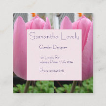 Rosa Tulip Tulips Garden Square St.